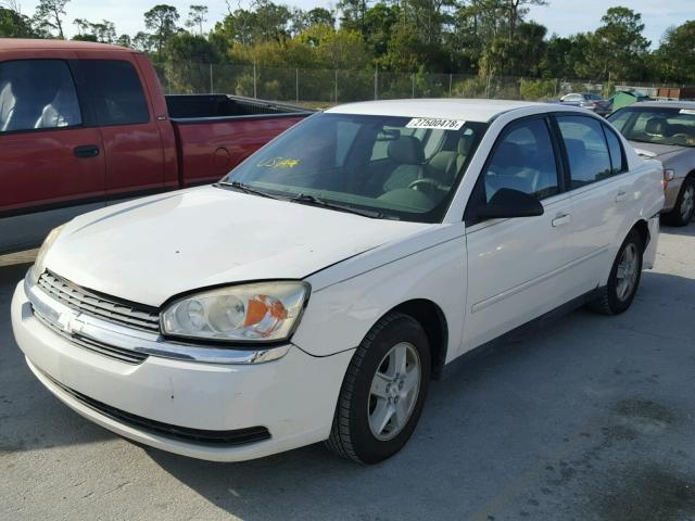 1G1ZT54825F191168 - 2005 CHEVROLET MALIBU LS WHITE photo 2