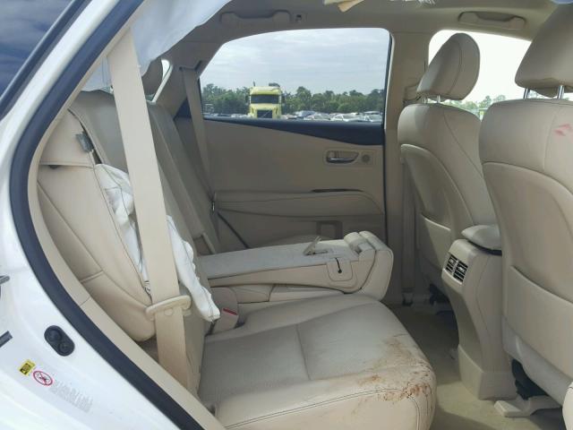 JTJZK1BA1D2006698 - 2013 LEXUS RX 350 WHITE photo 6