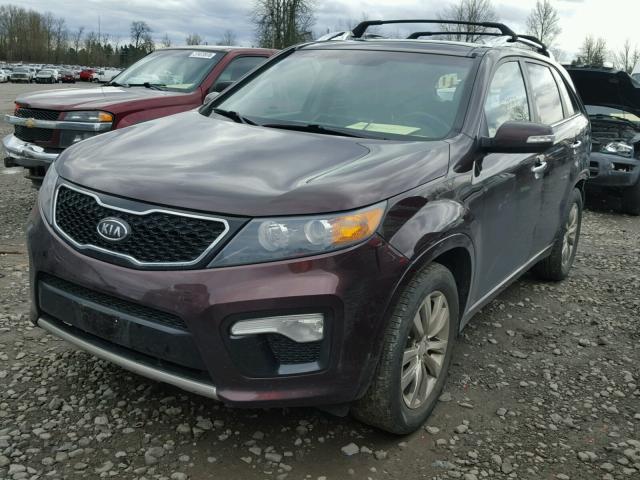 5XYKW4A22BG107305 - 2011 KIA SORENTO SX MAROON photo 2