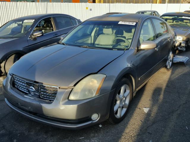 1N4BA41E34C871847 - 2004 NISSAN MAXIMA SE GOLD photo 2