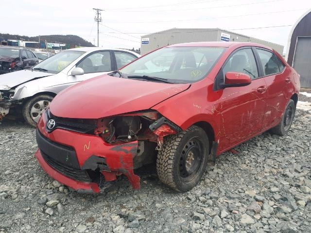 2T1BURHE8EC130719 - 2014 TOYOTA COROLLA L RED photo 2