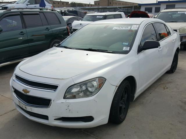 1G1ZA5EU3CF148277 - 2012 CHEVROLET MALIBU LS 白色 照片 2