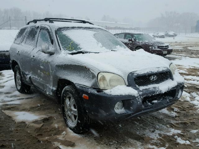 KM8SC73DX3U535482 - 2003 HYUNDAI SANTA FE G SILVER photo 1