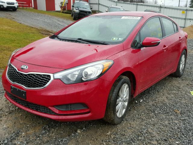 KNAFX4A64G5567015 - 2016 KIA FORTE LX RED photo 2