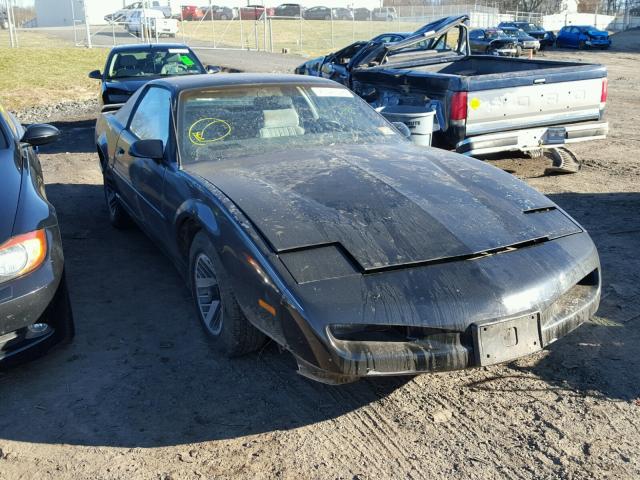 1G2FS23T4ML237895 - 1991 PONTIAC FIREBIRD BLACK photo 1