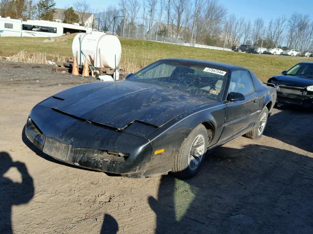 1G2FS23T4ML237895 - 1991 PONTIAC FIREBIRD BLACK photo 2