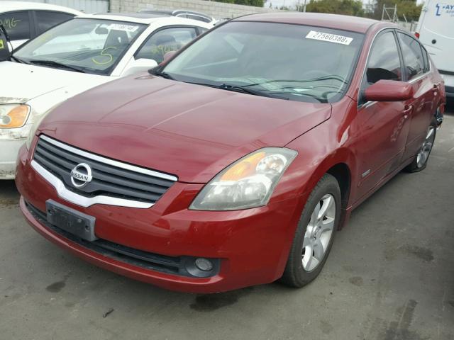 1N4CL21E17C177116 - 2007 NISSAN ALTIMA HYB RED photo 2