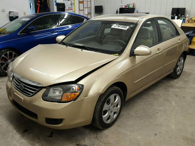 KNAFE221495659080 - 2009 KIA SPECTRA EX GOLD photo 2