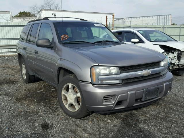 1GNDS13S662327943 - 2006 CHEVROLET TRAILBLAZE GRAY photo 1