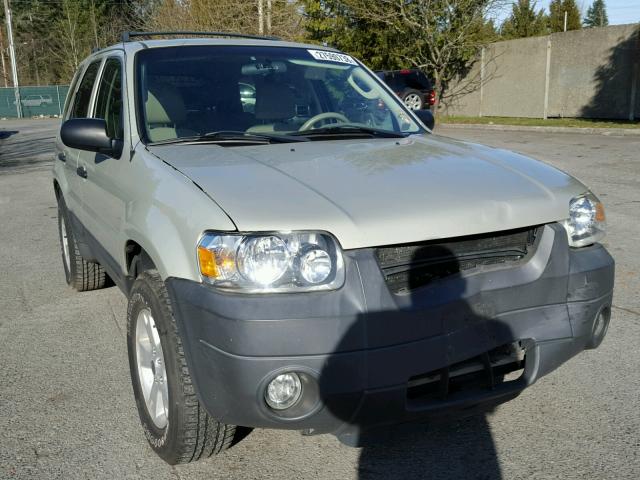 1FMYU93185KA96824 - 2005 FORD ESCAPE XLT GOLD photo 1