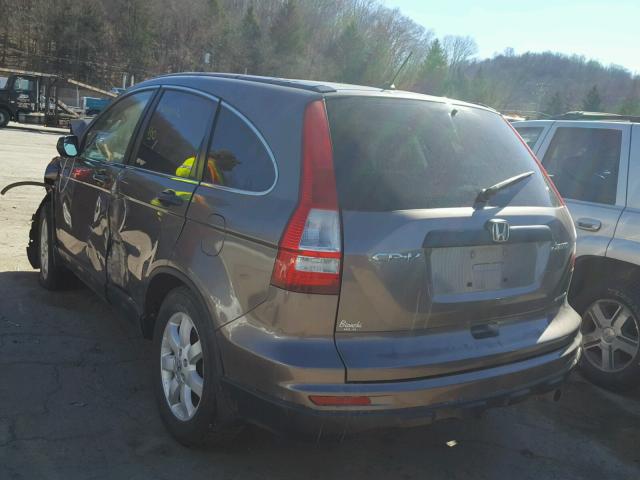 5J6RE4H4XBL087800 - 2011 HONDA CR-V SE BROWN photo 3