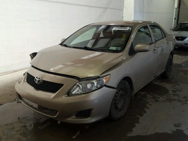 2T1BU4EE3AC497450 - 2010 TOYOTA COROLLA BA GOLD photo 2