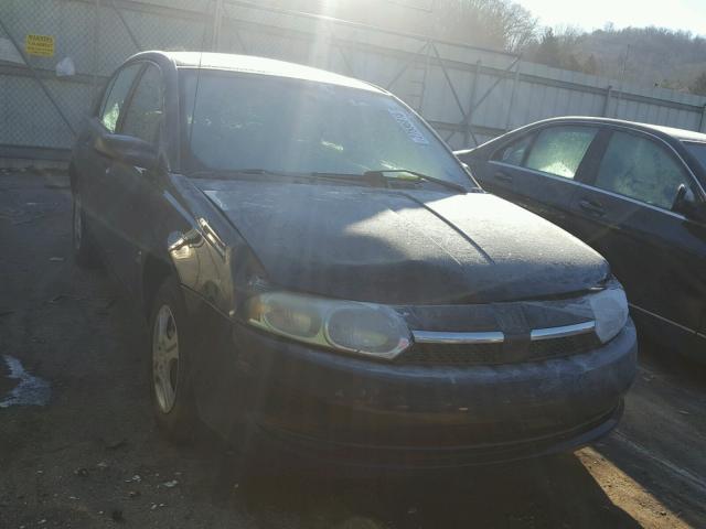 1G8AG52F34Z137279 - 2004 SATURN ION LEVEL შავი ფოტო 1