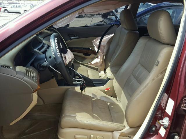 1HGCP26838A053770 - 2008 HONDA ACCORD EXL BURGUNDY photo 5