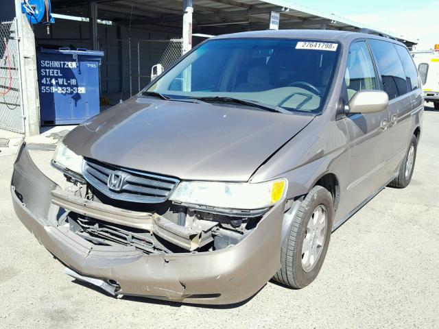 5FNRL18643B048541 - 2003 HONDA ODYSSEY EX GOLD photo 2