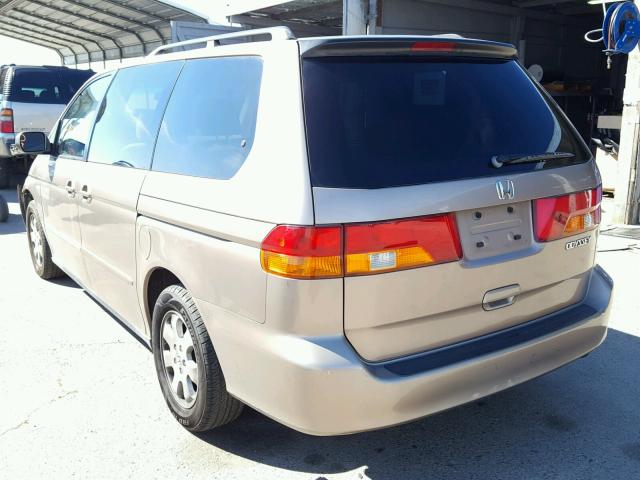 5FNRL18643B048541 - 2003 HONDA ODYSSEY EX GOLD photo 3