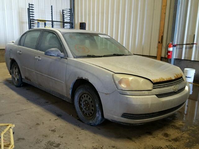 1G1ZT54825F257346 - 2005 CHEVROLET MALIBU LS SILVER photo 1