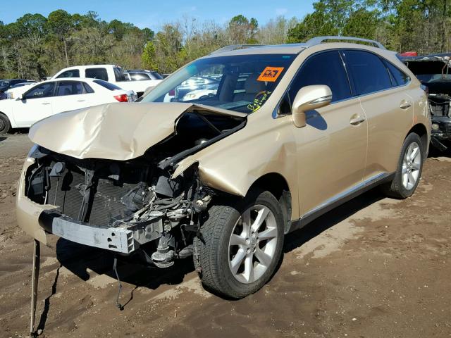 2T2ZK1BA8AC013885 - 2010 LEXUS RX 350 GOLD photo 2