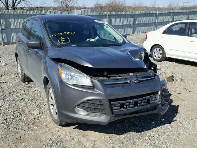 1FMCU9GX6EUB09857 - 2014 FORD ESCAPE SE GRAY photo 1