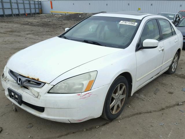 1HGCM66534A036919 - 2004 HONDA ACCORD EX WHITE photo 2