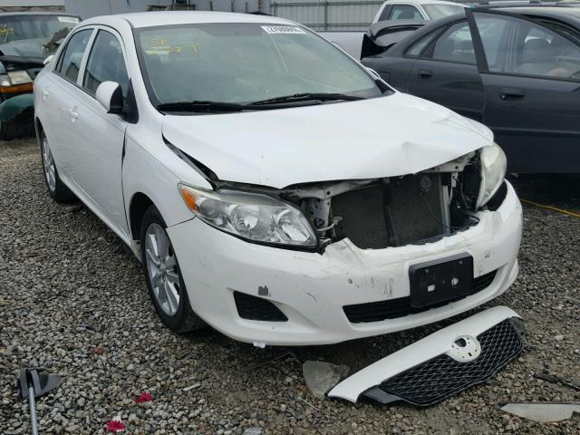 2T1BU4EE0AC287520 - 2010 TOYOTA COROLLA BA WHITE photo 1