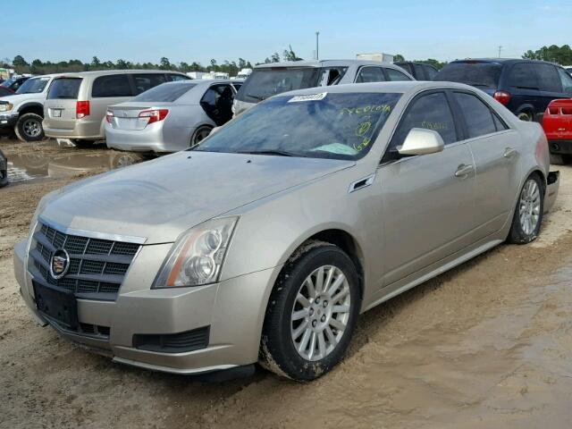 1G6DE5E54D0166048 - 2013 CADILLAC CTS LUXURY BEIGE photo 2