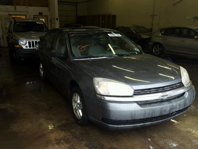 1G1ZT54825F250610 - 2005 CHEVROLET MALIBU LS 灰色 照片 1