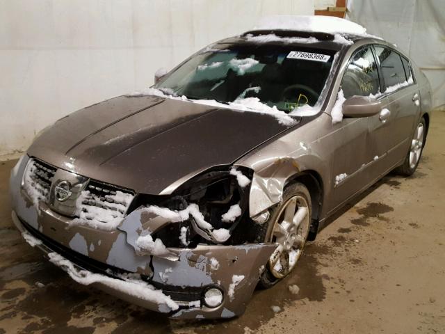 1N4BA41E54C890741 - 2004 NISSAN MAXIMA SE GOLD photo 2