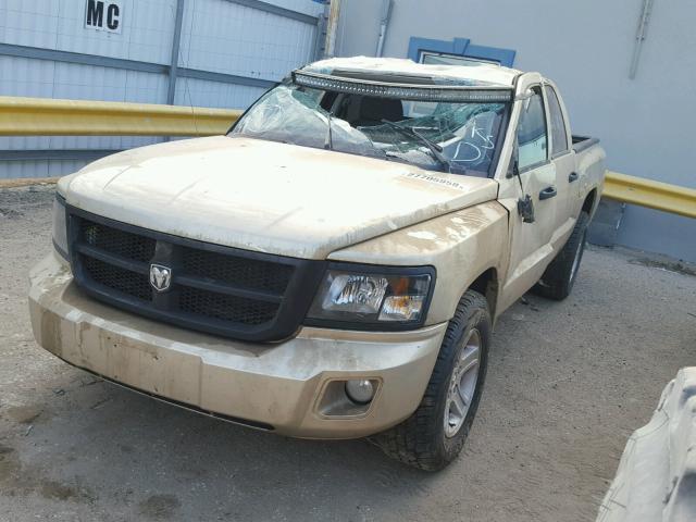 1D7RE3GK7BS666853 - 2011 DODGE DAKOTA SLT GOLD photo 2