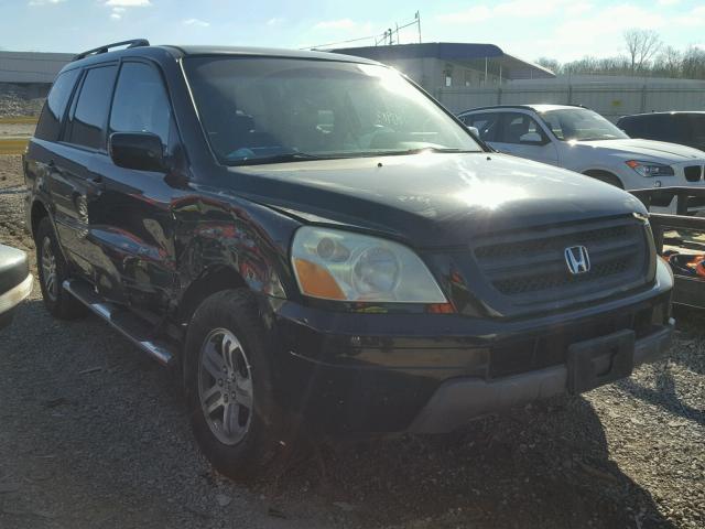 5FNYF185X4B011652 - 2004 HONDA PILOT EXL BLACK photo 1