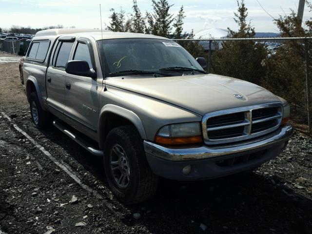 1B7HG48Z02S546023 - 2002 DODGE DAKOTA QUA TAN photo 1