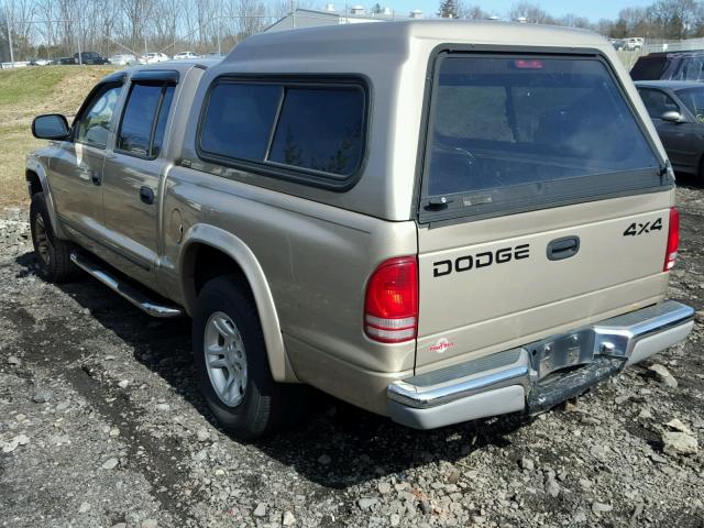 1B7HG48Z02S546023 - 2002 DODGE DAKOTA QUA TAN photo 3