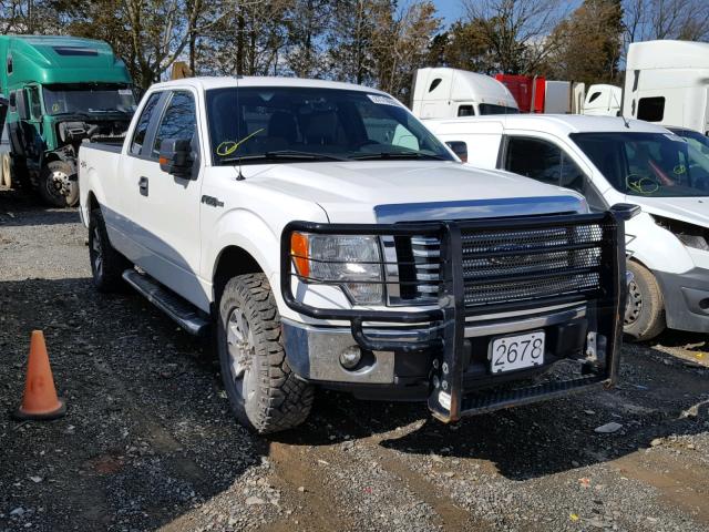 1FTFX1EF2CFA06182 - 2012 FORD F150 SUPER WHITE photo 1