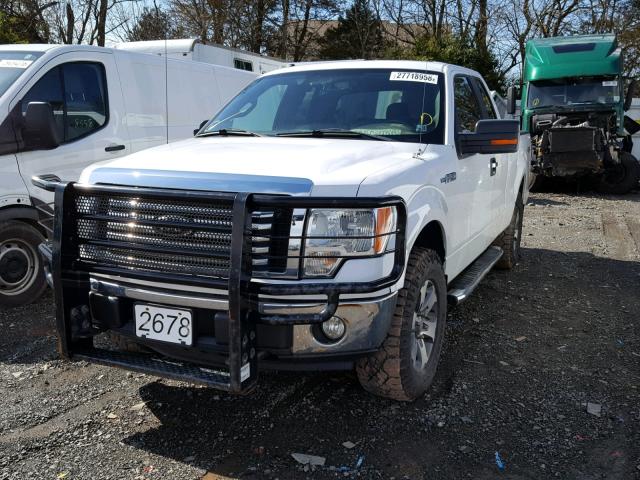 1FTFX1EF2CFA06182 - 2012 FORD F150 SUPER WHITE photo 2