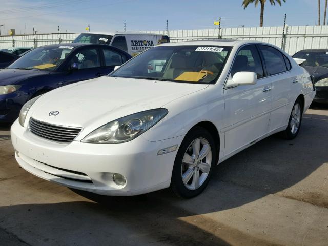 JTHBA30G565152564 - 2006 LEXUS ES 330 WHITE photo 2