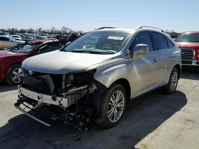 2T2BK1BA4DC161795 - 2013 LEXUS RX 350 GOLD photo 2