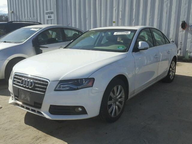 WAUSF78K69N062747 - 2009 AUDI A4 PREMIUM WHITE photo 2