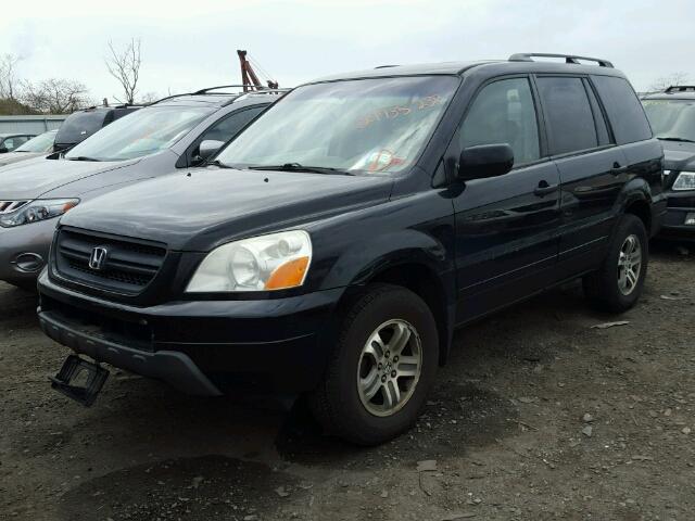 5FNYF18504B009859 - 2004 HONDA PILOT EXL BLACK photo 2