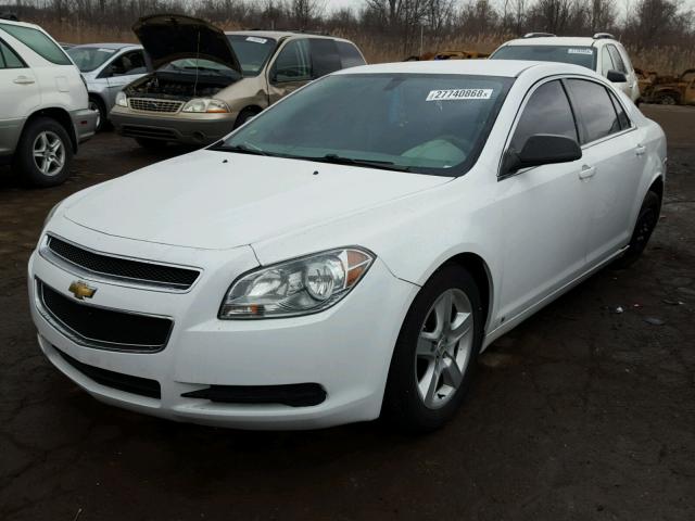 1G1ZA5E05A4103282 - 2010 CHEVROLET MALIBU LS თეთრი ფოტო 2
