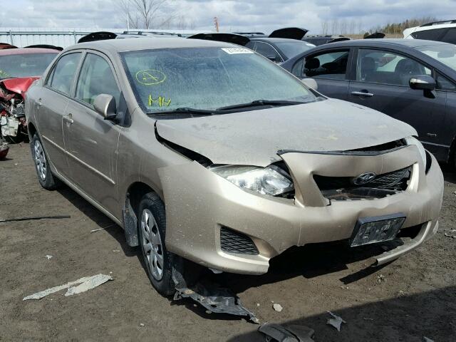 2T1BU4EE7AC299695 - 2010 TOYOTA COROLLA BA BEIGE photo 1