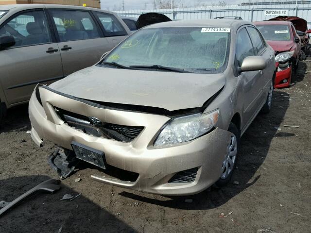 2T1BU4EE7AC299695 - 2010 TOYOTA COROLLA BA BEIGE photo 2