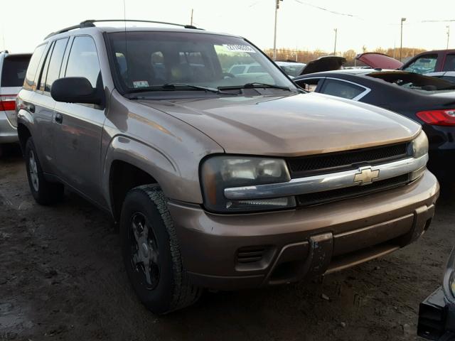 1GNDS13S222489837 - 2002 CHEVROLET TRAILBLAZE BROWN photo 1