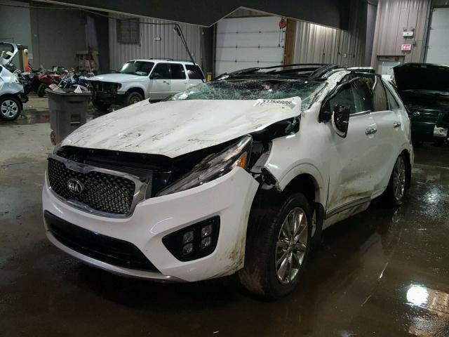 5XYPKDA57GG079827 - 2016 KIA SORENTO SX WHITE photo 2