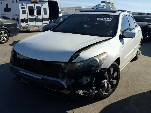 1HGCP368X9A038822 - 2009 HONDA ACCORD EXL WHITE photo 2