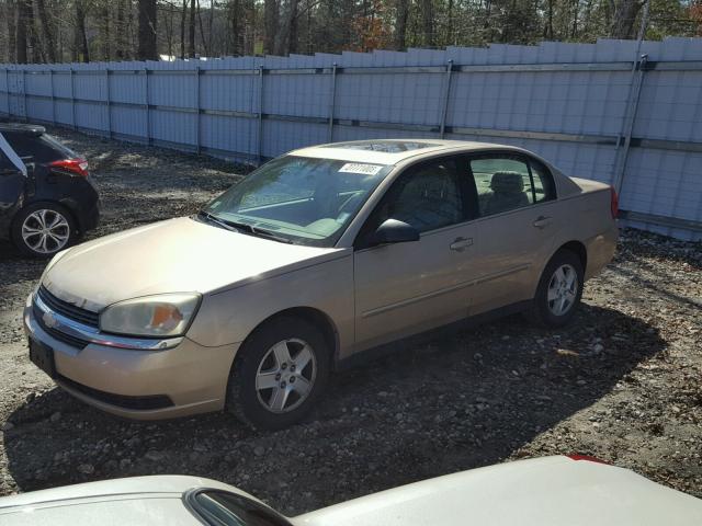 1G1ZT54884F166175 - 2004 CHEVROLET MALIBU LS GOLD photo 2