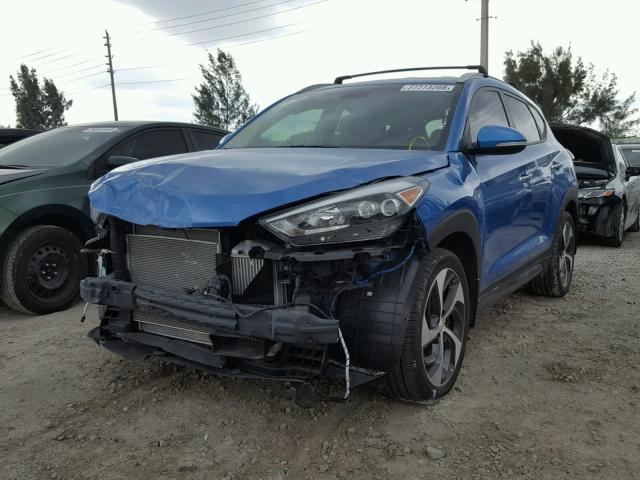 KM8J33A22GU250688 - 2016 HYUNDAI TUCSON LIM BLUE photo 2