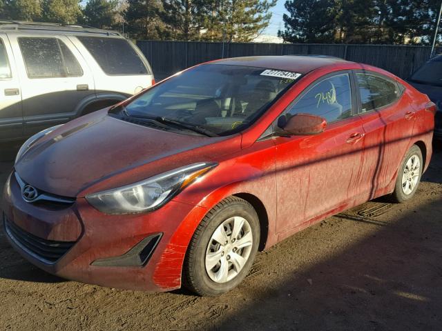 5NPDH4AE2GH698684 - 2016 HYUNDAI ELANTRA SE RED photo 2