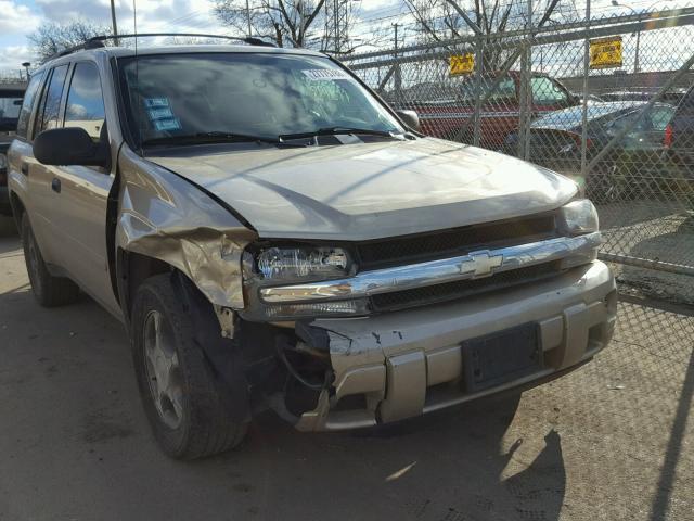 1GNDT13S862331571 - 2006 CHEVROLET TRAILBLAZE GOLD photo 9