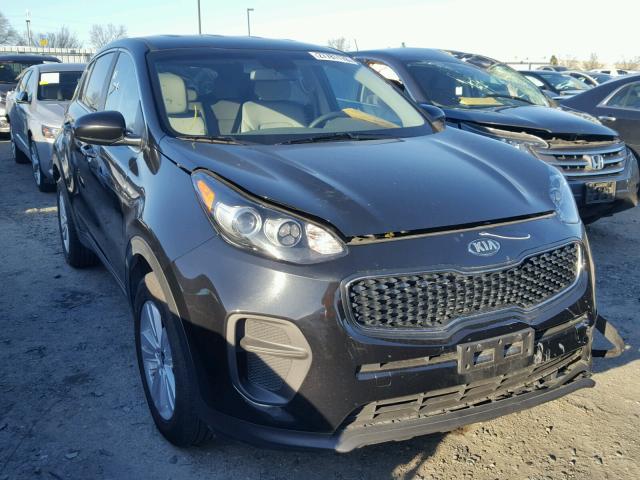 KNDPM3AC5H7229595 - 2017 KIA SPORTAGE L BLACK photo 1