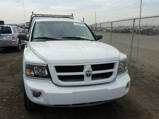 1D7RE3BK1BS560342 - 2011 DODGE DAKOTA SLT WHITE photo 9